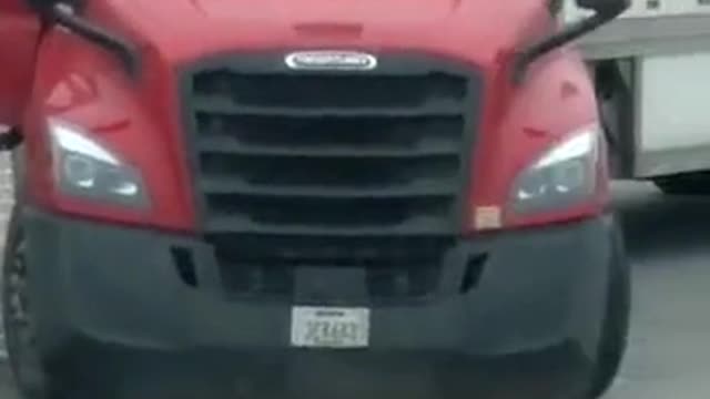 First time I saw a pig on a truck