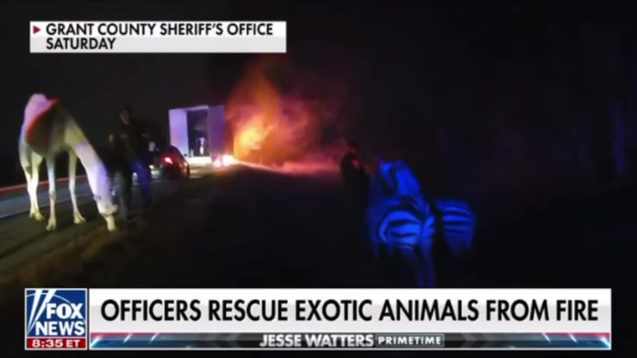 Officers rescue exotic animals from fire