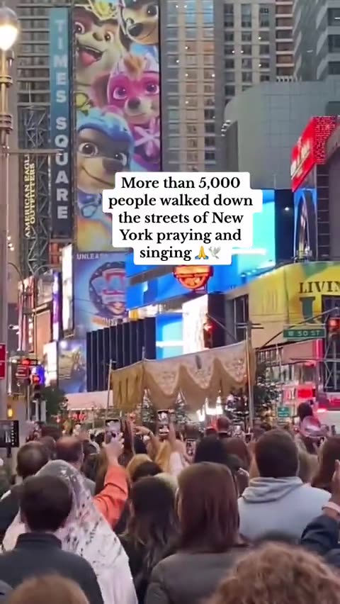 Streets of NYC Oct 2023