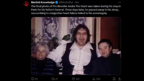 Morbid Knowledge - Andre the Giant