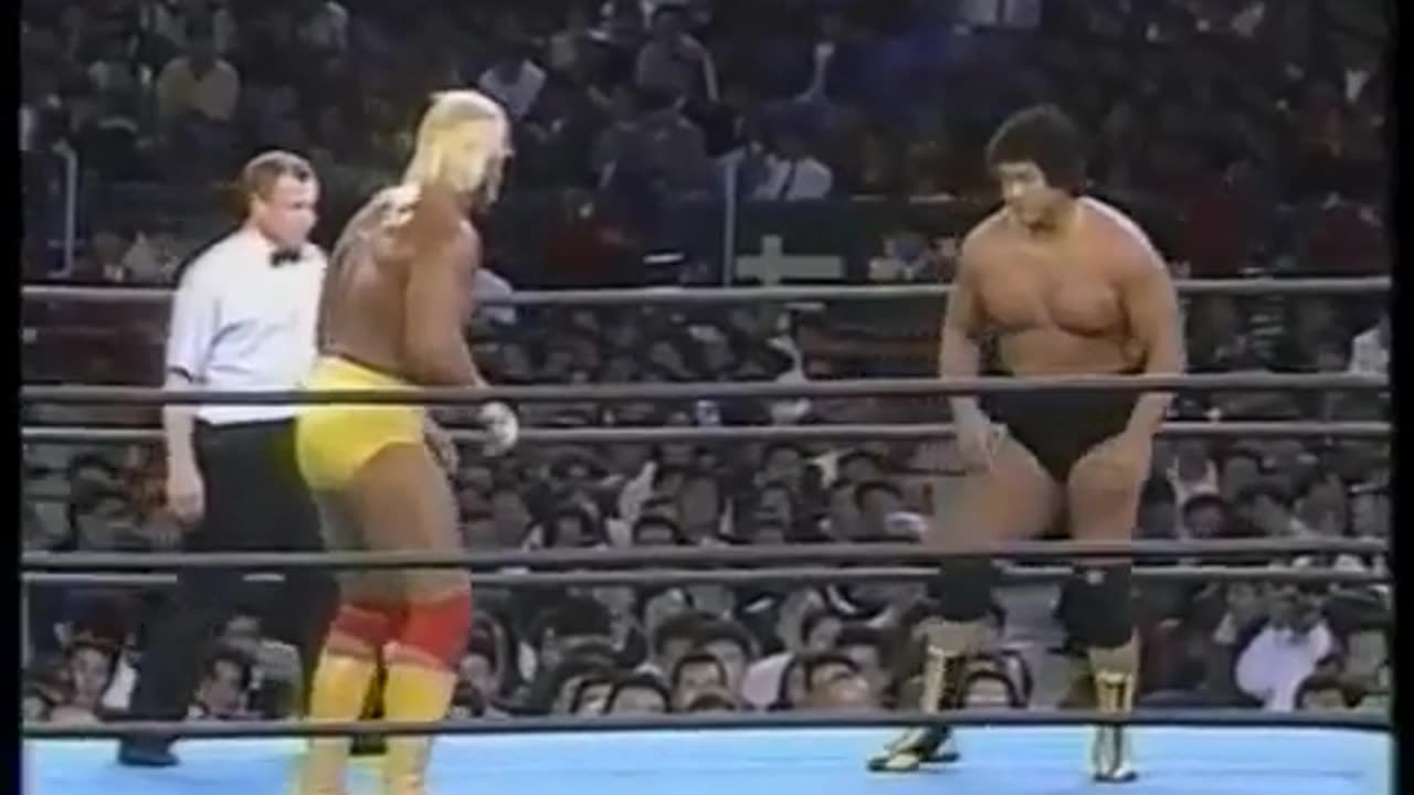 (1991.12.12) Hulk Hogan vs Genichiro Tenryu: Super World Sports - SWS SuperWrestle in Tokyo Dome