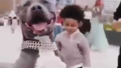 Doggie
