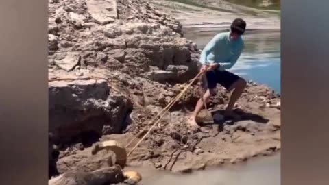 10 Animals that Asked People for Help in 2022 !