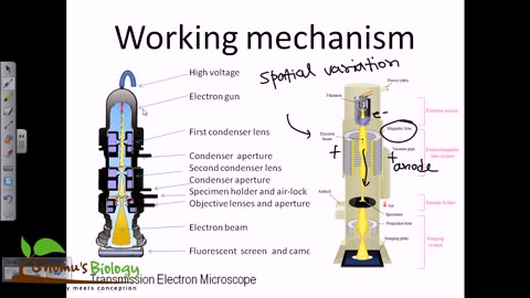 Microscopy