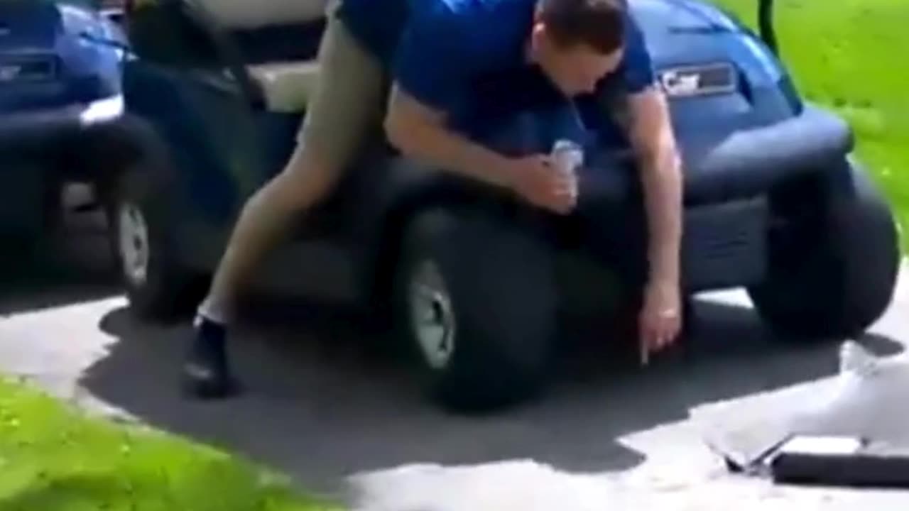 The end 😂😂😂 #viral #shorts #reels #fails #funny #fail #mmvfunny