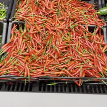 Hot red pepper in Superstore Canada