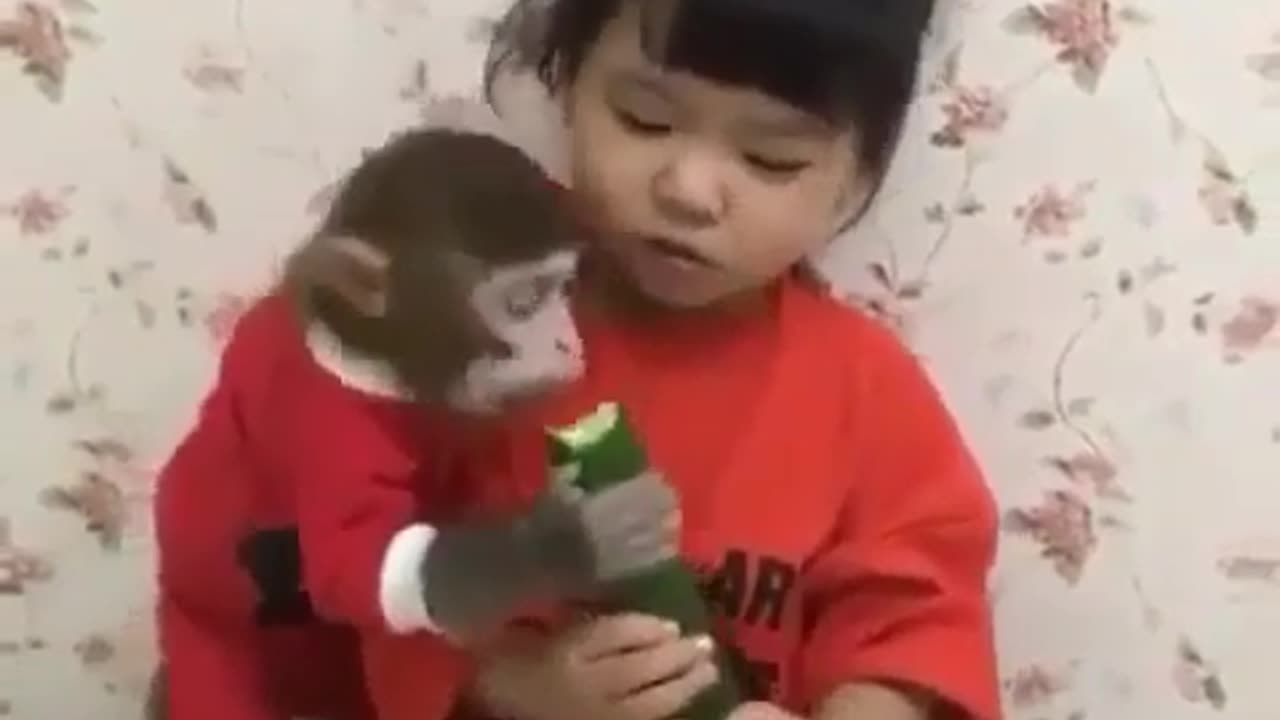 funny animals 🤣