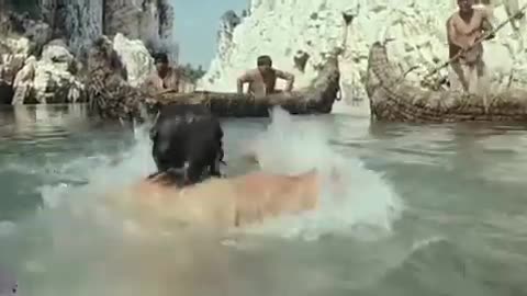 mohenjo daro movie crocodile scene hrithik roshan