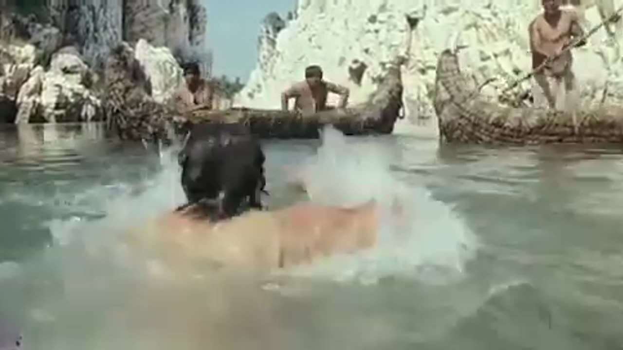 mohenjo daro movie crocodile scene hrithik roshan