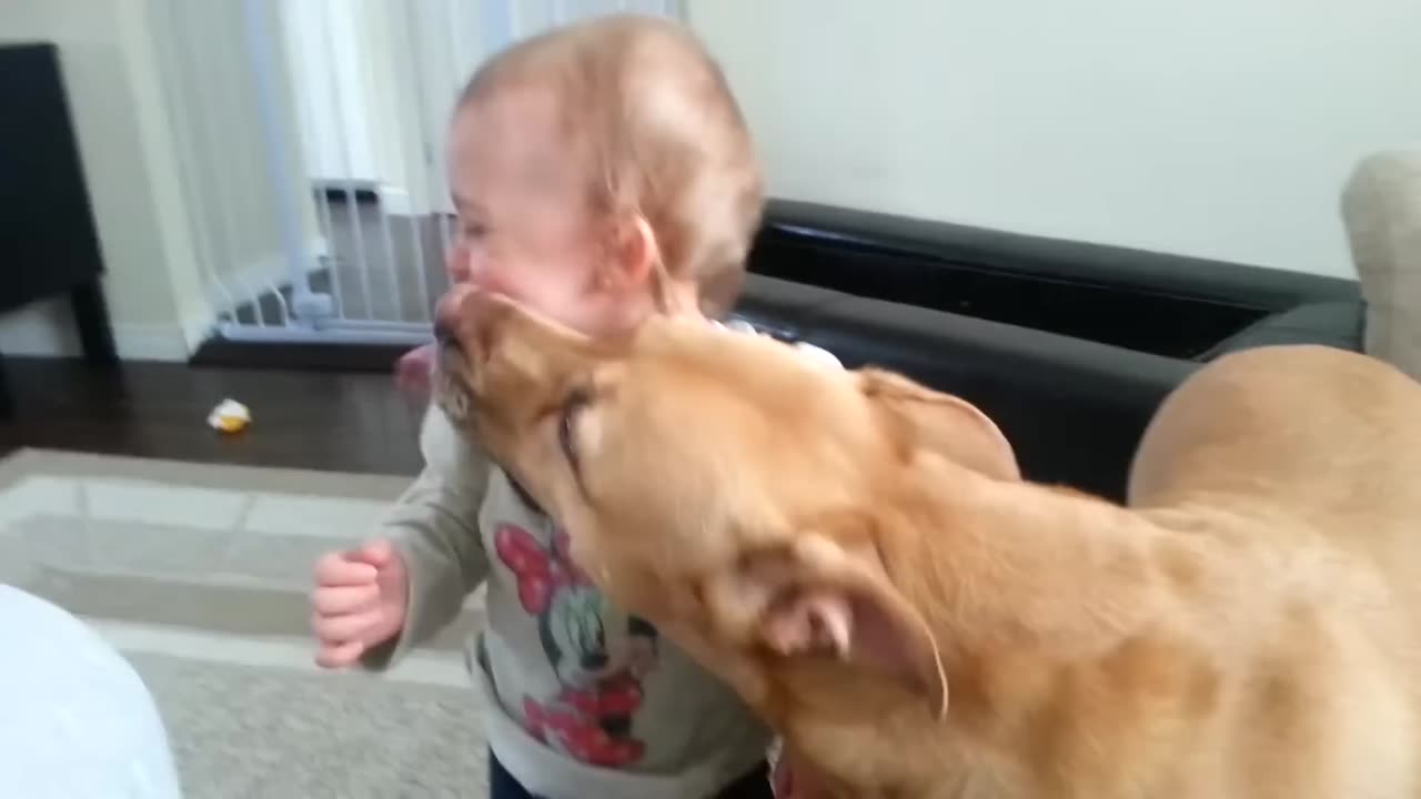 Funny Baby Video 3