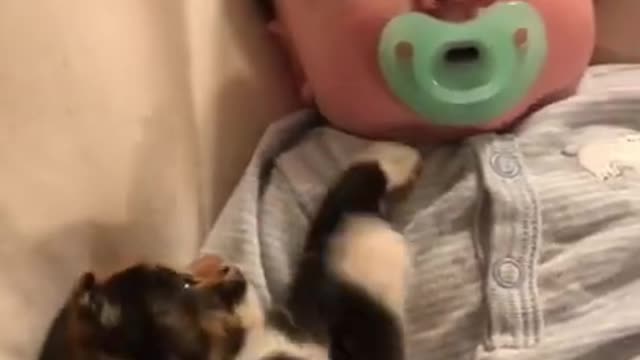 best funny and cutes babies videos baby videos for babies to watch