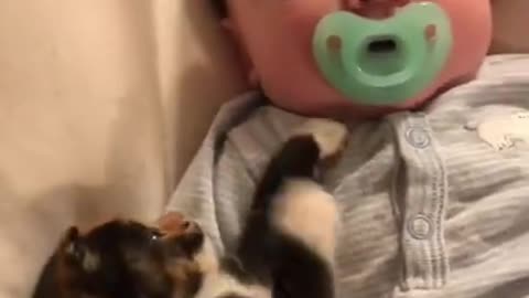 best funny and cutes babies videos baby videos for babies to watch
