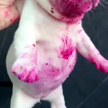 Oh beautiful Thing!! I Loved😍😍