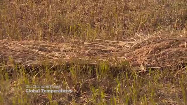 31_Long-term global warming fuels extreme weather, analysis shows