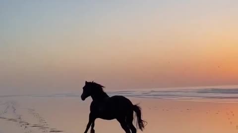 Beautiful View