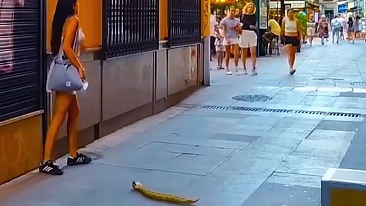 Masti full on fun 😊😊 2023 prank video trending
