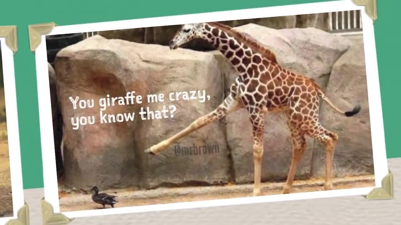 the mrbrown show_ the giraffe song