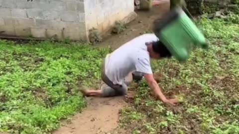 Comedy vide