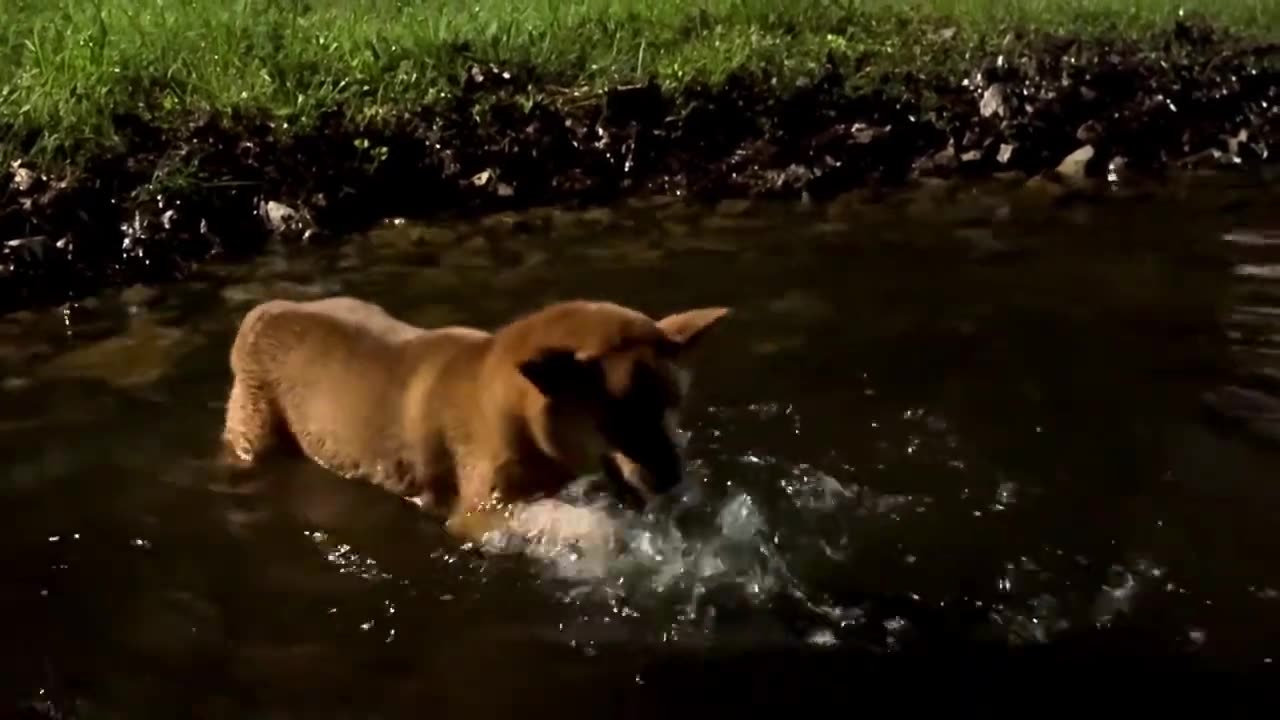 sneaking down to the lake at night to do this!