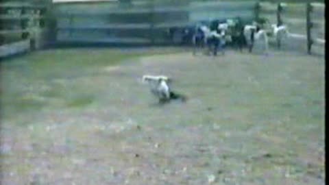 Fainting Goat