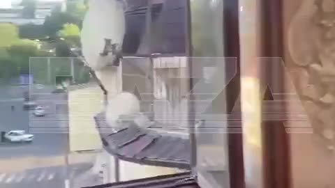 Islamic Separatists Battling Russian Security Forces(Makhachkala)