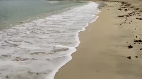Andaman beach view