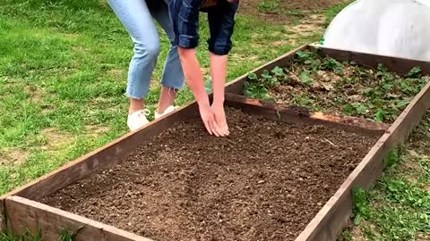 Make your backyard a hackyard with these amazing ideas & tips! 🌲