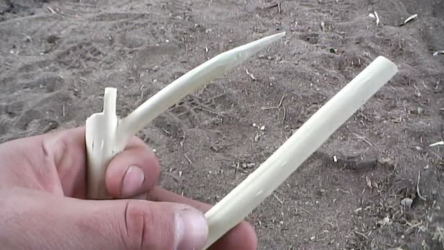 Learn About Modified Promontory Peg Deadfall Trap (Part 3 of a series) The Promute Peg