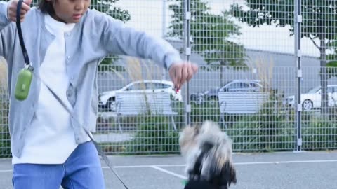 Besties Forever: Girl vs Dog Playtime Showdown