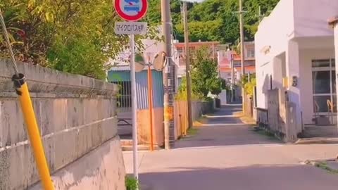 The scenery of Okinawa after a long absence