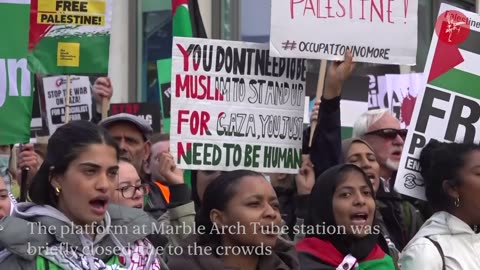 Pro-Palestine march: up to '100,000' people protest in central London