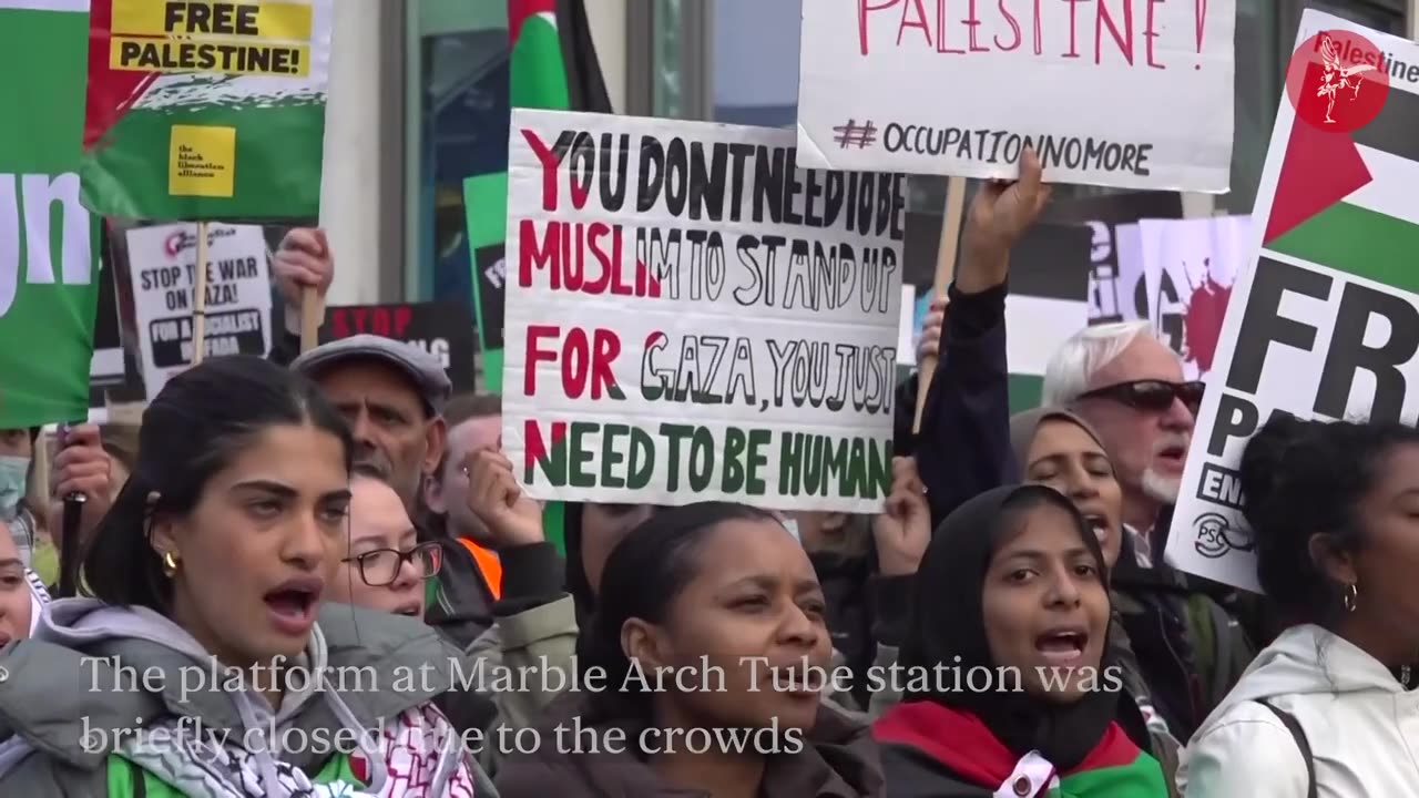 Pro-Palestine march: up to '100,000' people protest in central London