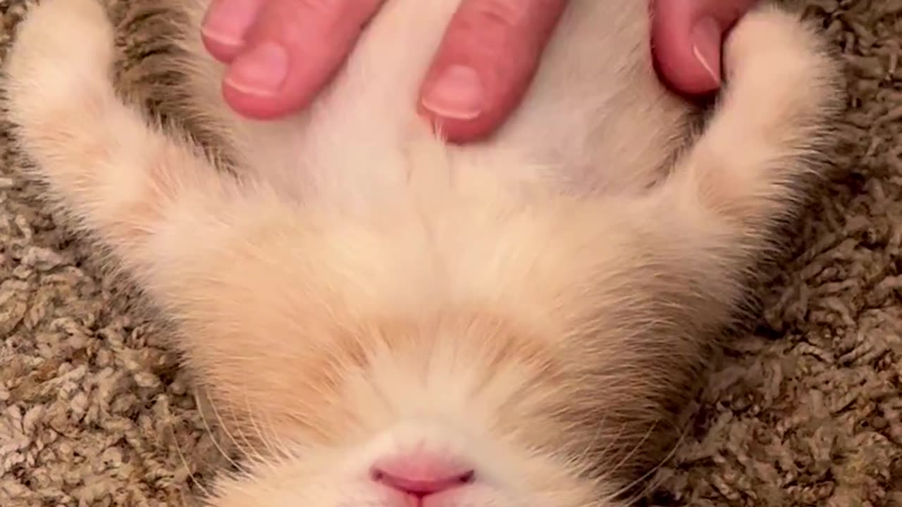 Totally relaxed
