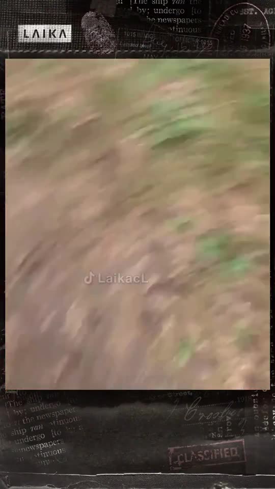 no te aproximes a mis otros videos