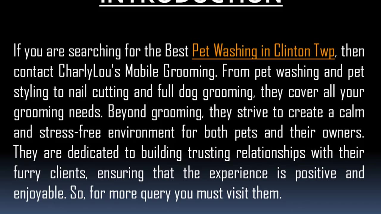 Best Pet Washing in Clinton Twp