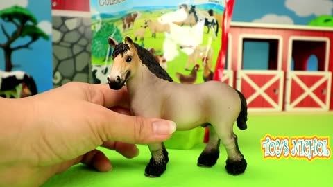 Horse and Dog Galloping and Playing in the Garden