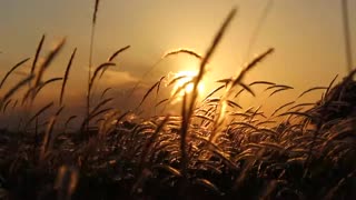 newwineministry | New Wine Ministry