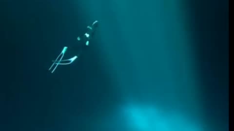 A world underwater