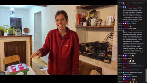 2022-11-07 (5bis.2) - legumes sautés- Twitch Triskelina (version avec chat)