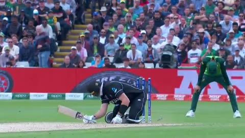 Cricket