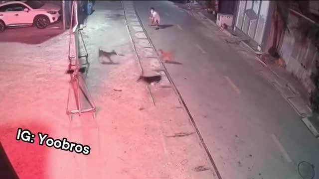 Wait for it 😂