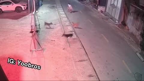 Wait for it 😂