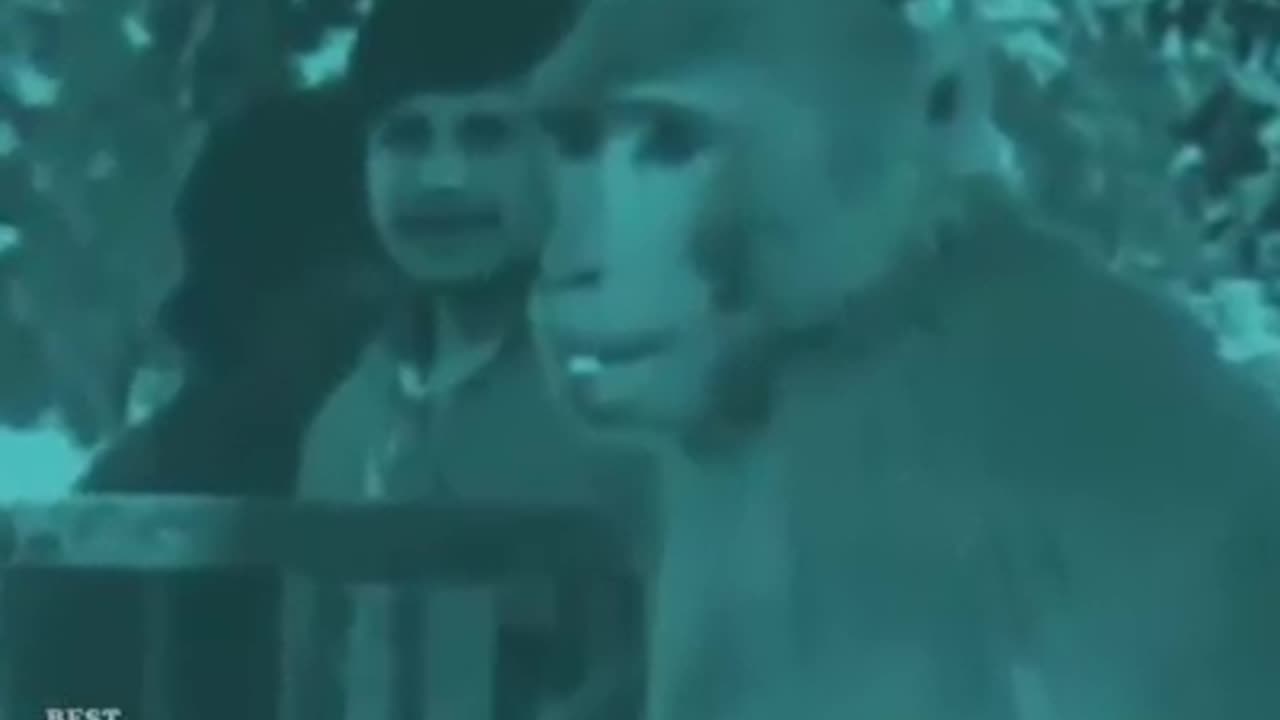 Smart monkey 😂