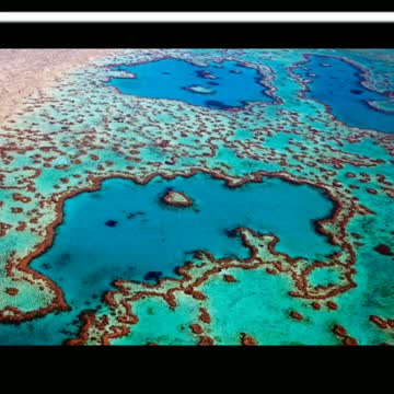 Did you know? Great Barrier Reef, Queensland, Australia