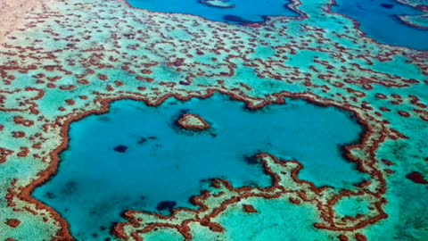 Did you know? Great Barrier Reef, Queensland, Australia
