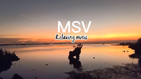 Relaxing Music | Sleeping, Meditation, Stress Relief | [7363] ⭐️