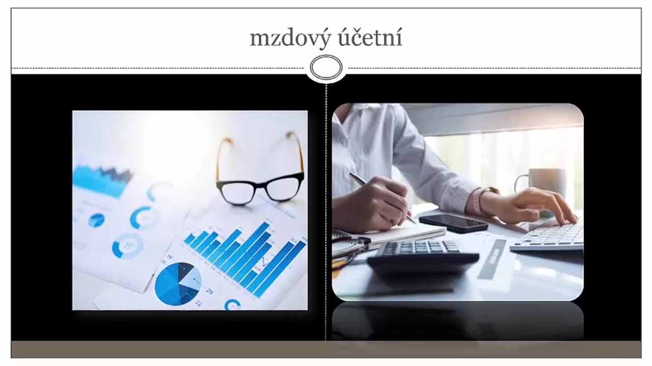 Co Dělá Účetní Společnost?
