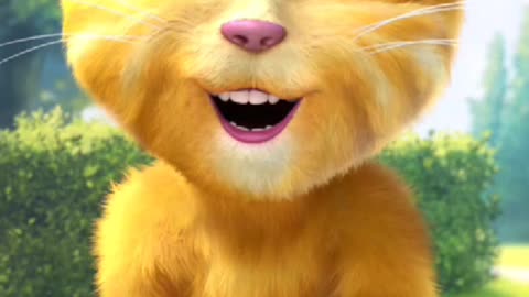 Pata Nahi Ji Konsa Nasha Karta Hain Song by Talking Ginger - Funny Song Video