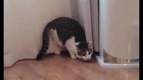 What Was There, Run Run Run