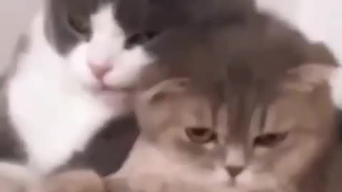 Me and my soulmate